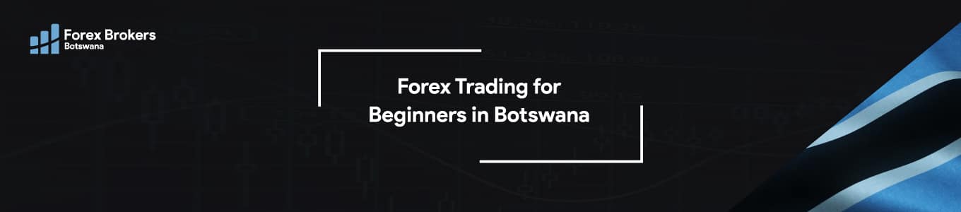 forex trading for beginners in botswana Main Banner