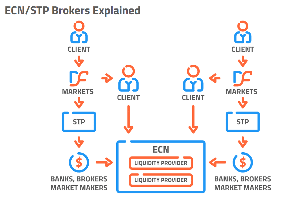 What are Straight Through Processing (STP) Forex Brokers?